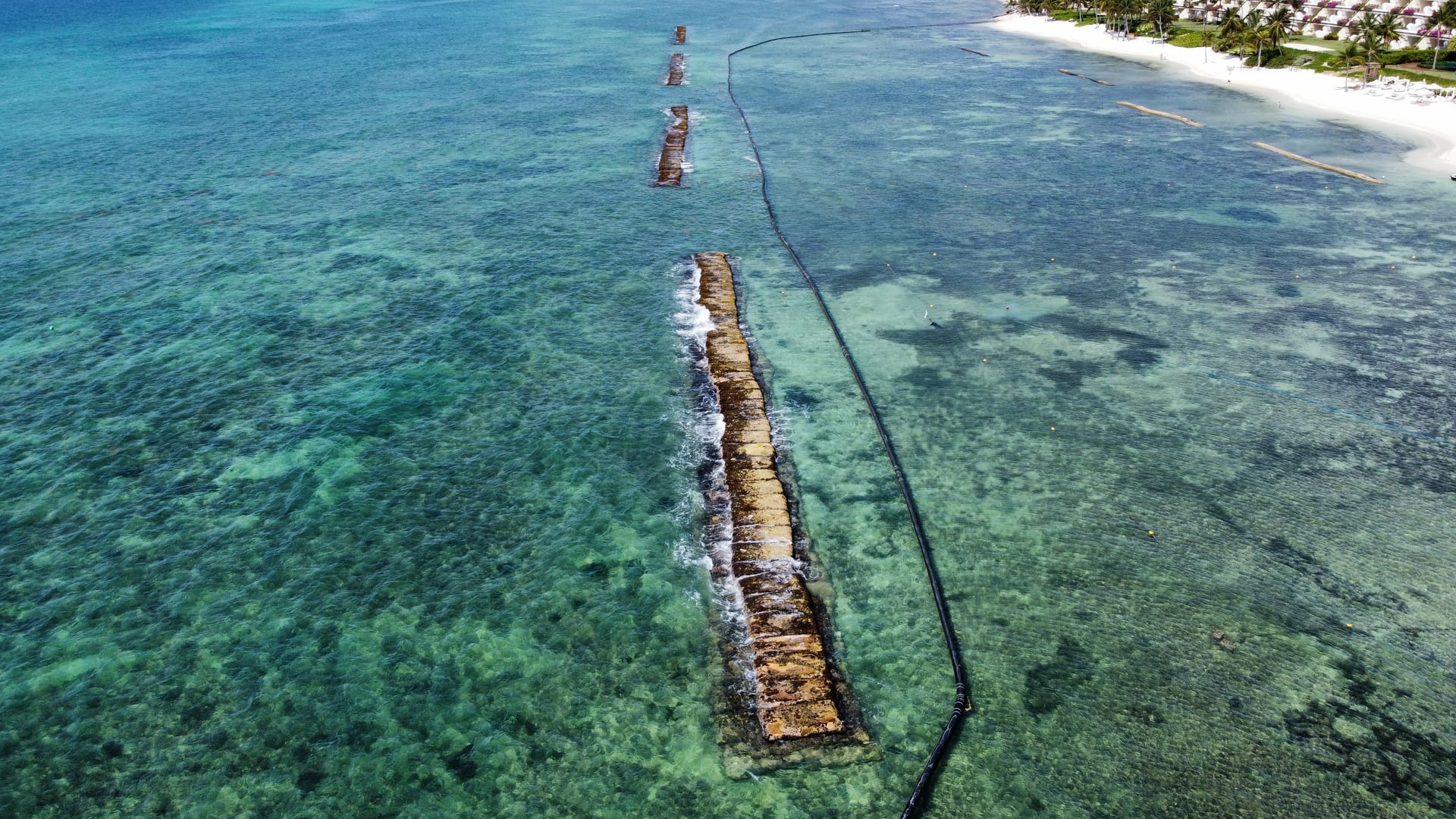 Installation of Artificial Reefs