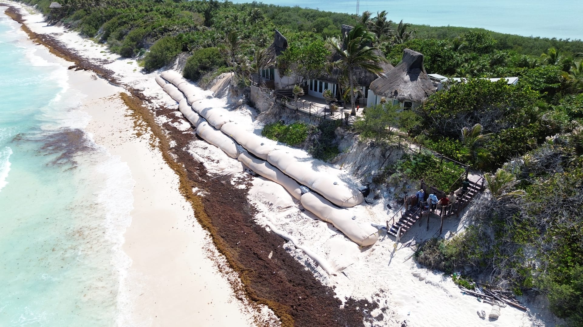 Design and Construction of Coastal Dunes