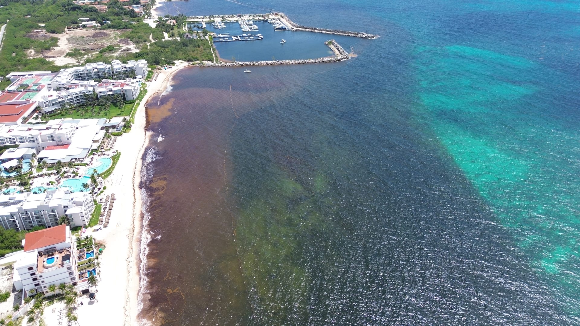 Sargassum Management Consulting and Training